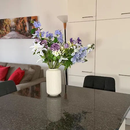 Onyx - 1 5 * Muralto